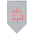 Mirage Pet Products Cuter Than Cupid Screen Print BandanaGrey Small 66-178 SMGY